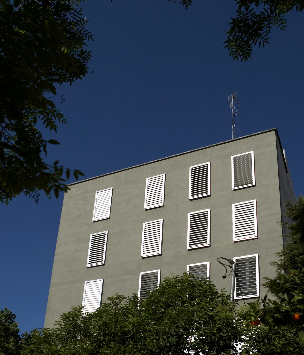 Modern building facade with white louvered windows against clear blue sky and surrounding foliage.