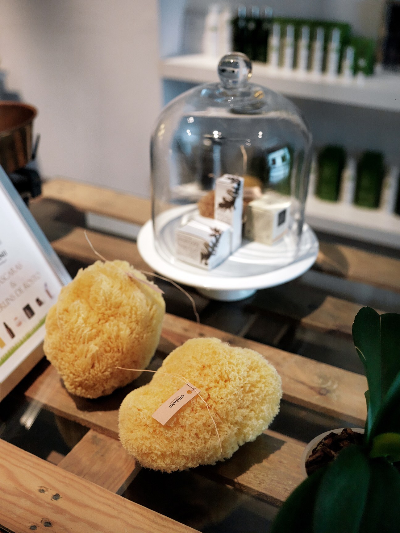 Organii organic cosmetics shop display with yellow sponges and glass dome on wooden counter.