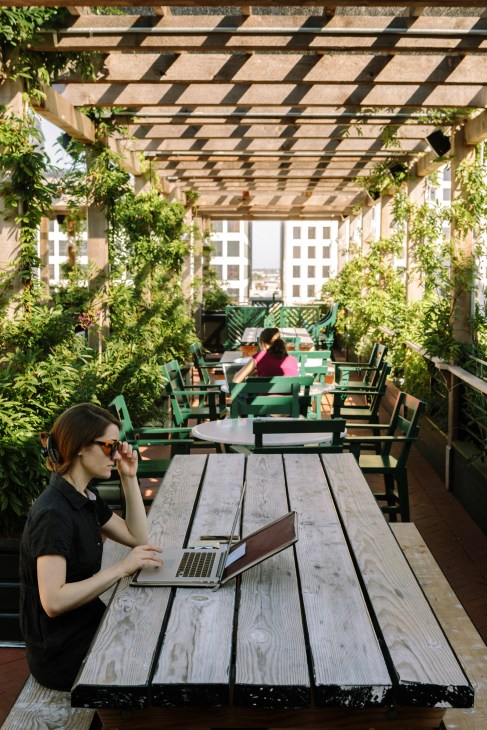Guest working at laptop on wooden table at Alto, Ace Hotel New Orleans rooftop garden with green chairs and climbing vines.