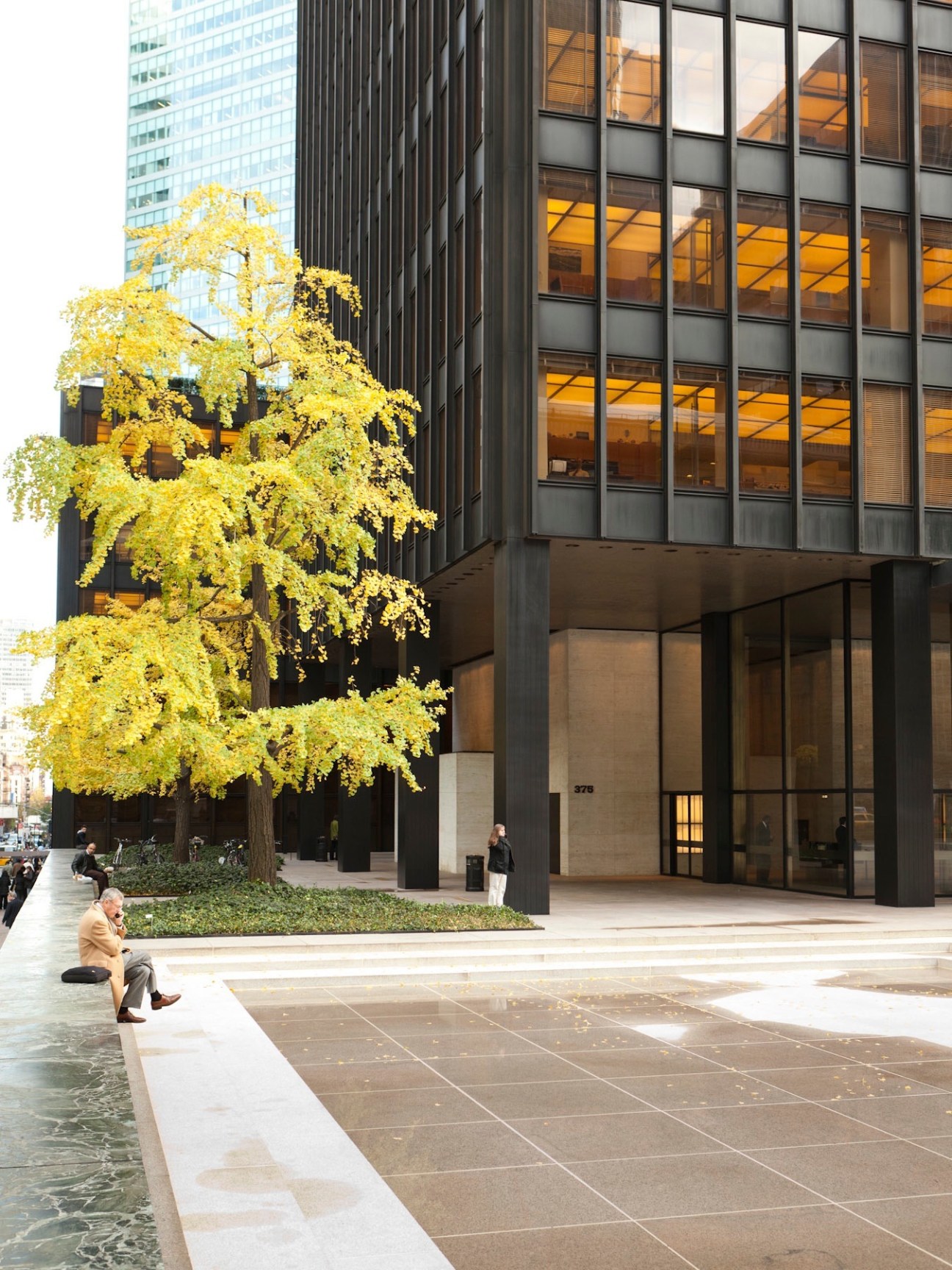 Exterior of Mies van der Rohe-designed building with yellow autumn tree and modernist architecture.