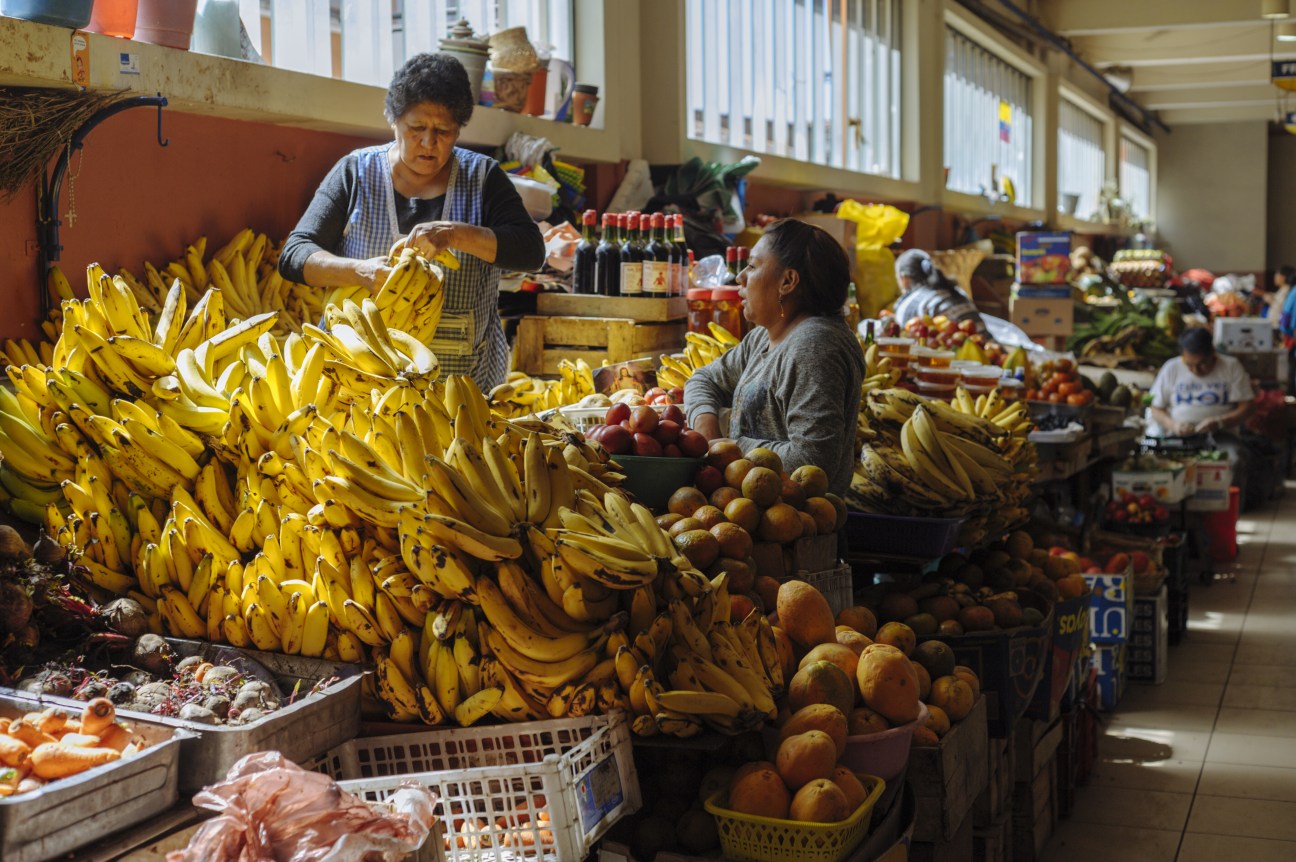 Vendors and shoppers at a bustling market with large bunches of yellow bananas prominently displayed.
