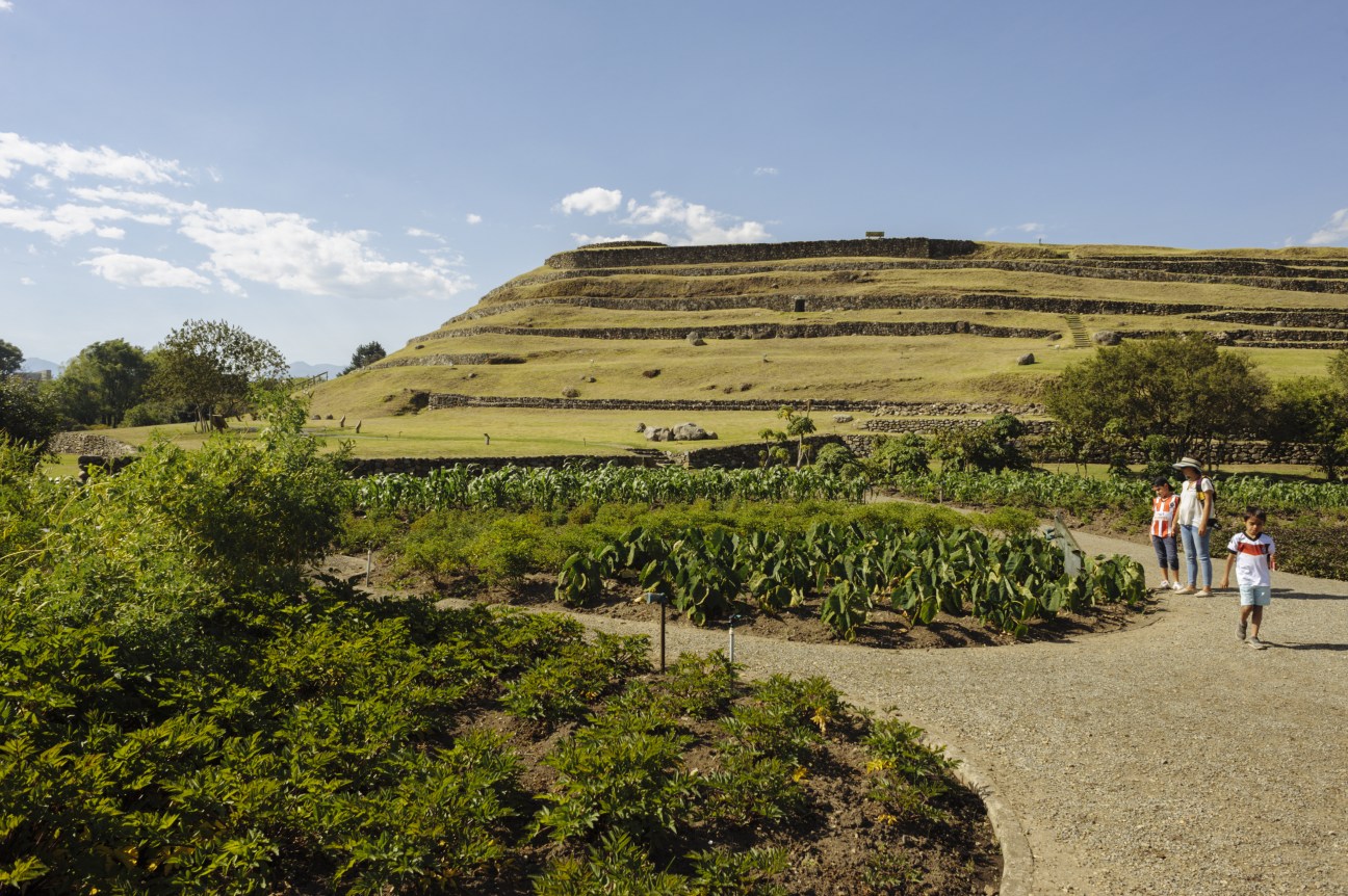 Ancient Incan pyramidal ruins at Ruinas de Pumapungo with visitors and corn fields in the foreground.