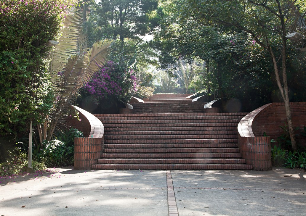 Red-brick stairs with curved white railings descend through lush green trees and flowering plants toward downtown Bogotá.