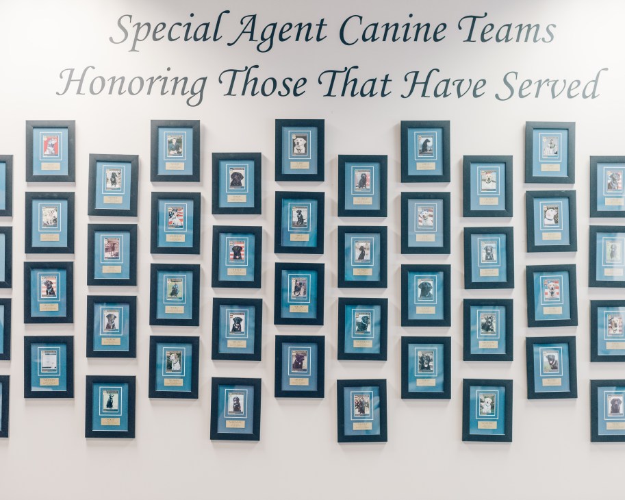 Wall display of framed photographs honoring retired ATF canine agents with text reading 'Special Agent Canine Teams Honoring Those That Have Served'.