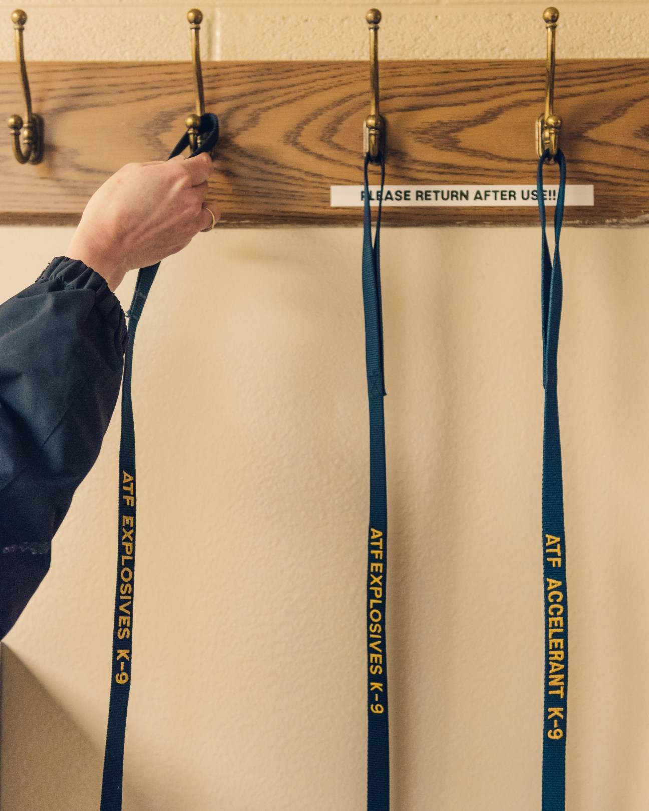 A hand reaches for an ATF dog leash hanging on a wooden hook rack next to other labeled leashes.