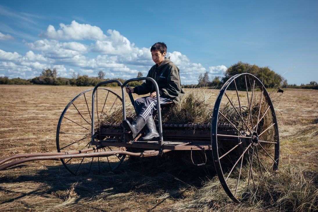 A young boy operates a semi-mechanised hay harvesting machine in a rural field.