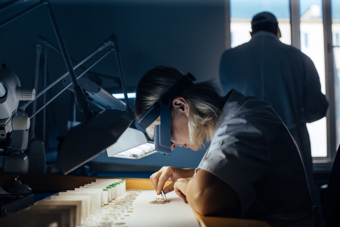 Worker examines and sorts small diamonds under bright overhead lighting in an industrial facility.