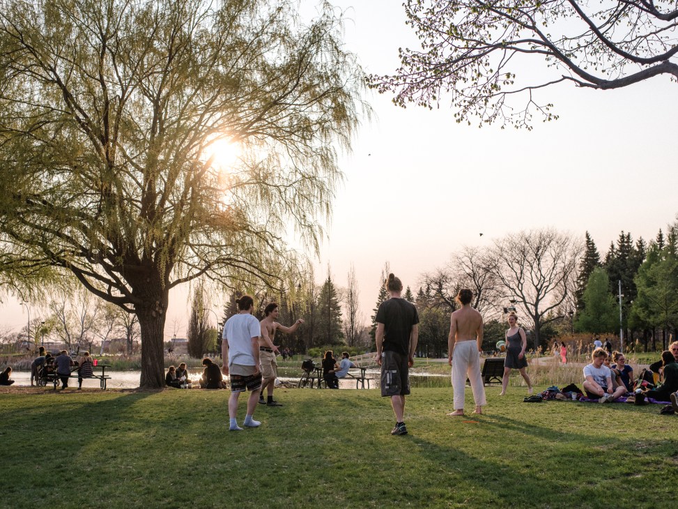 People relaxing and exercising in a park at sunset with large trees and a lake visible in the background.
