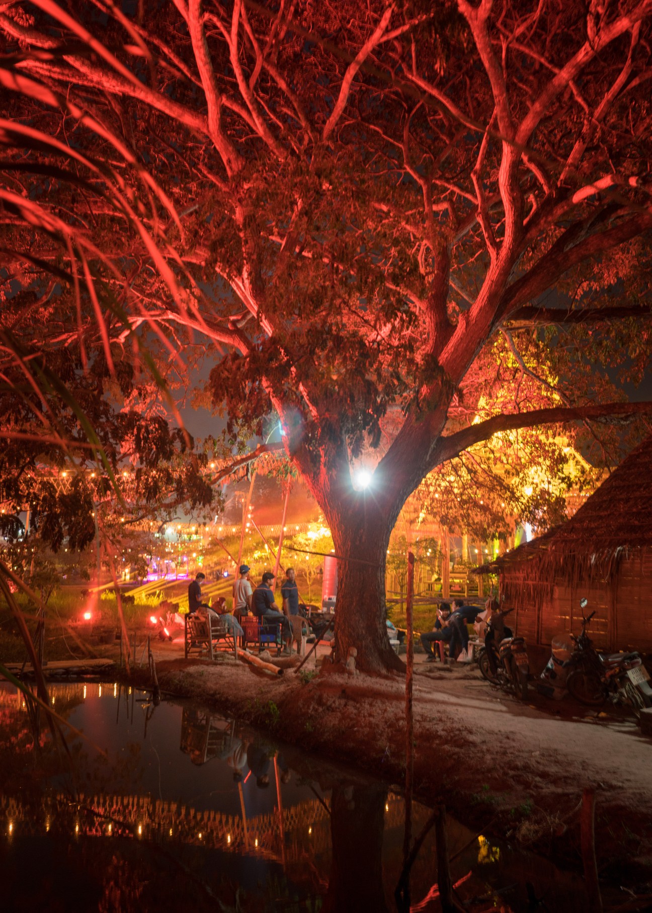 Festival goers relaxing beneath a large illuminated tree at night near Wonder Lily Island at Wonderfruit festival.