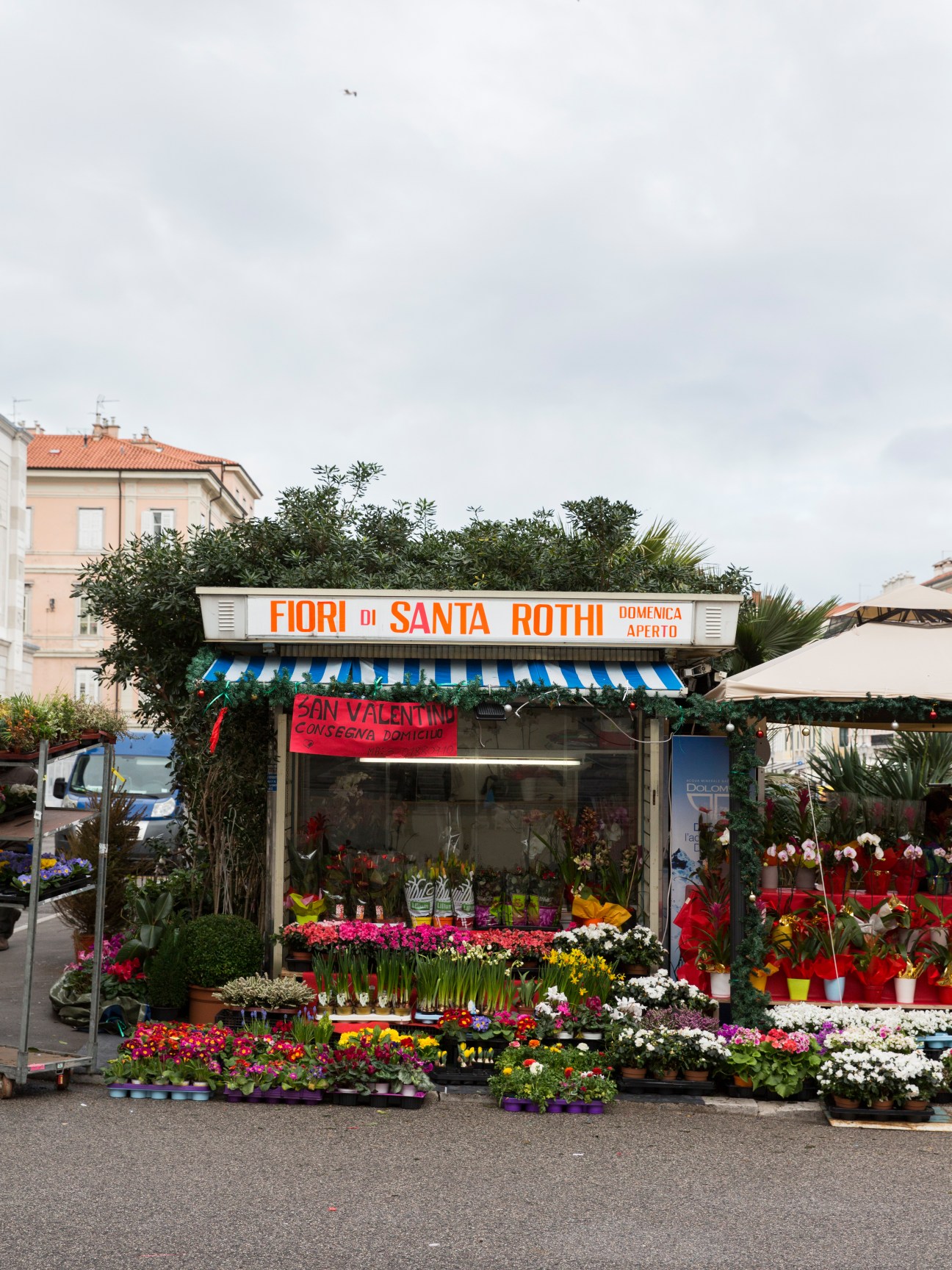 Fiori di Santa Rothi florist shop with colorful potted flowers displayed outside beside the Canal Grande in Trieste.