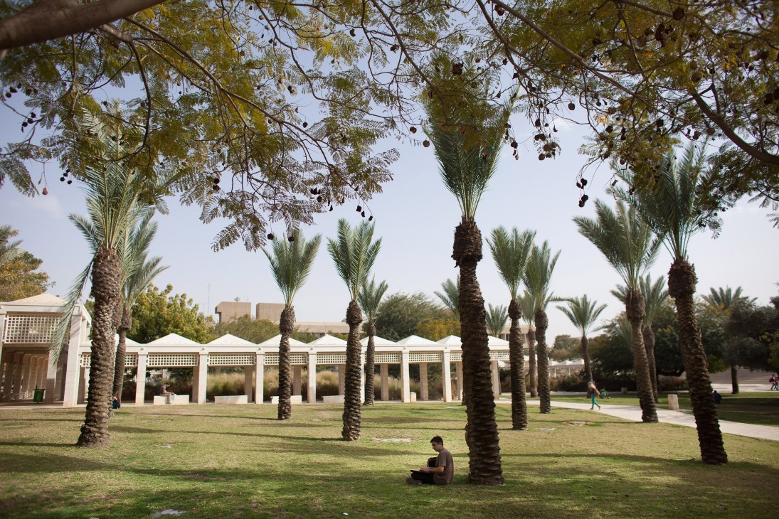 A student sits under palm trees in front of Ben-Gurion University's white colonnade buildings.