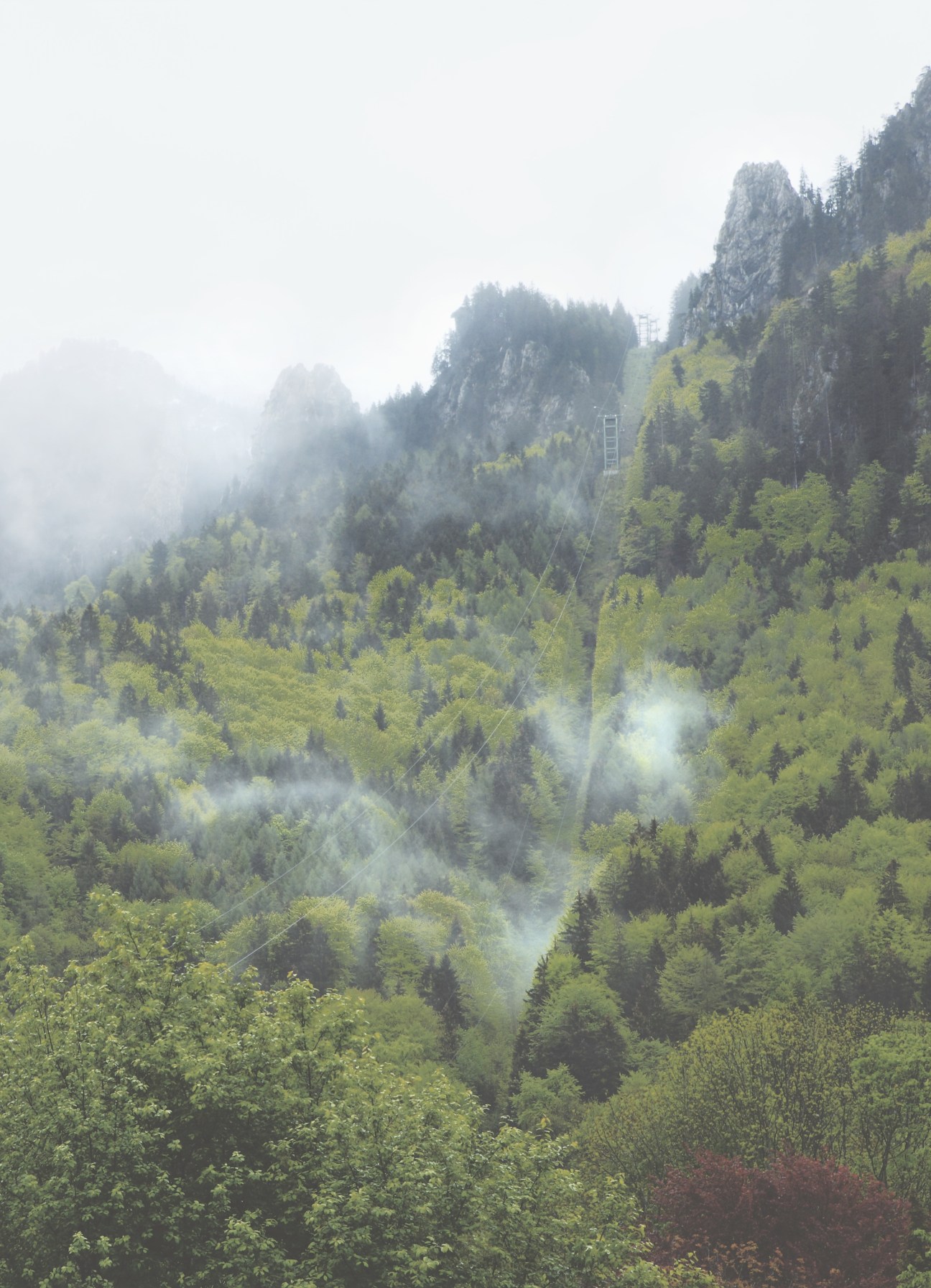 Misty forested Alpine mountains with dramatic rocky peaks and coniferous trees in the Bavarian Alps.