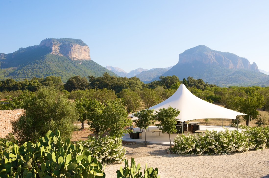 White tent structure on sandy grounds surrounded by olive and almond trees with dramatic mountains in background at Son Forteza finca.