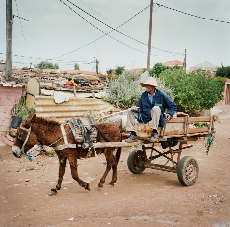 Man sitting on a donkey cart in a shanty town settlement with makeshift structures and power lines.