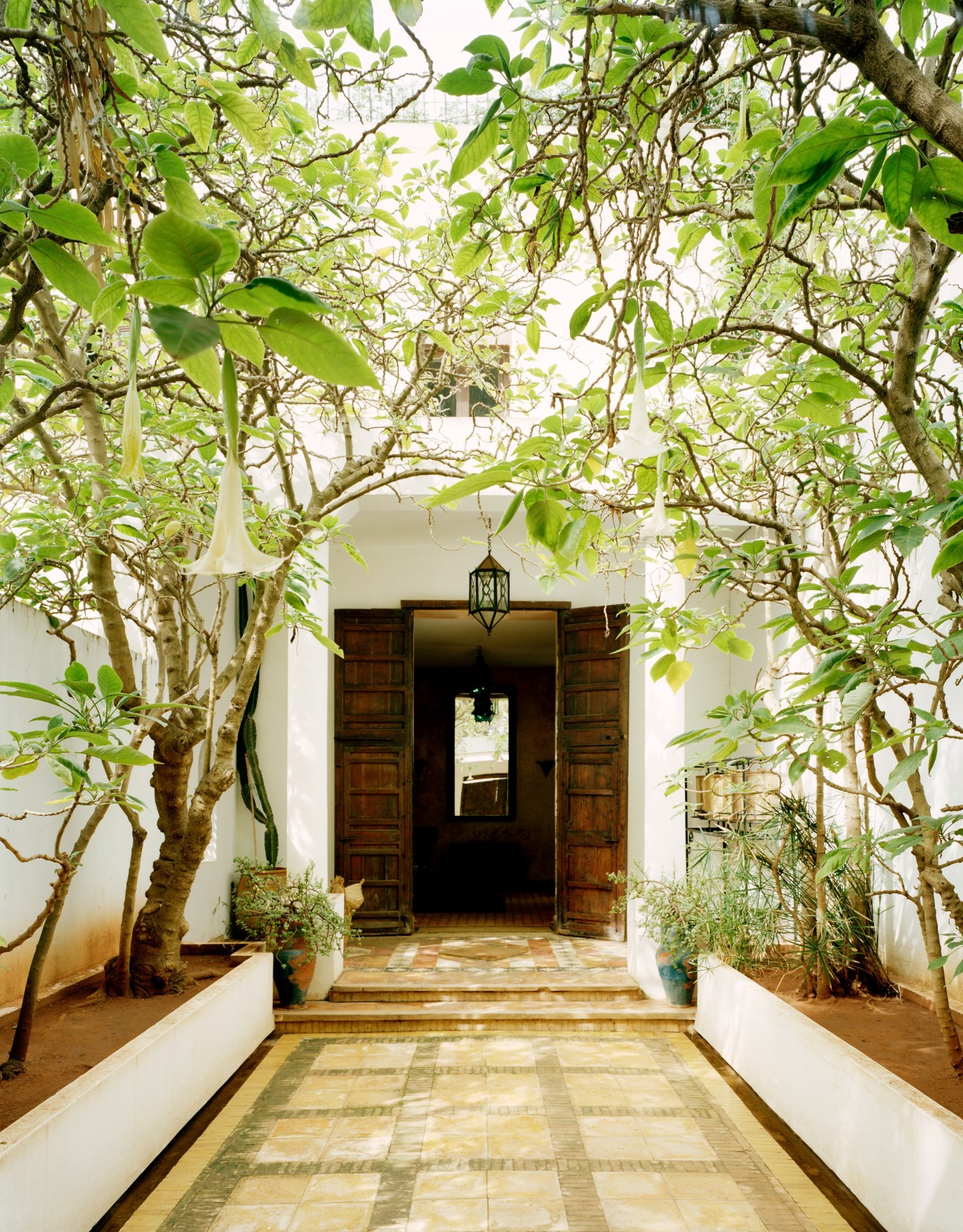 A verdant courtyard entrance with flowering vines overhead, white walls, and ornate wooden doors leading into Tahir Shah's house in Casablanca.