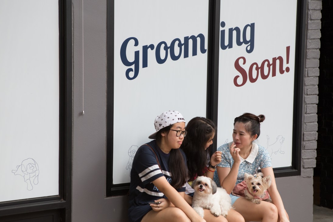Three people sit with two small dogs in front of a sign reading 'Grooming Soon!'