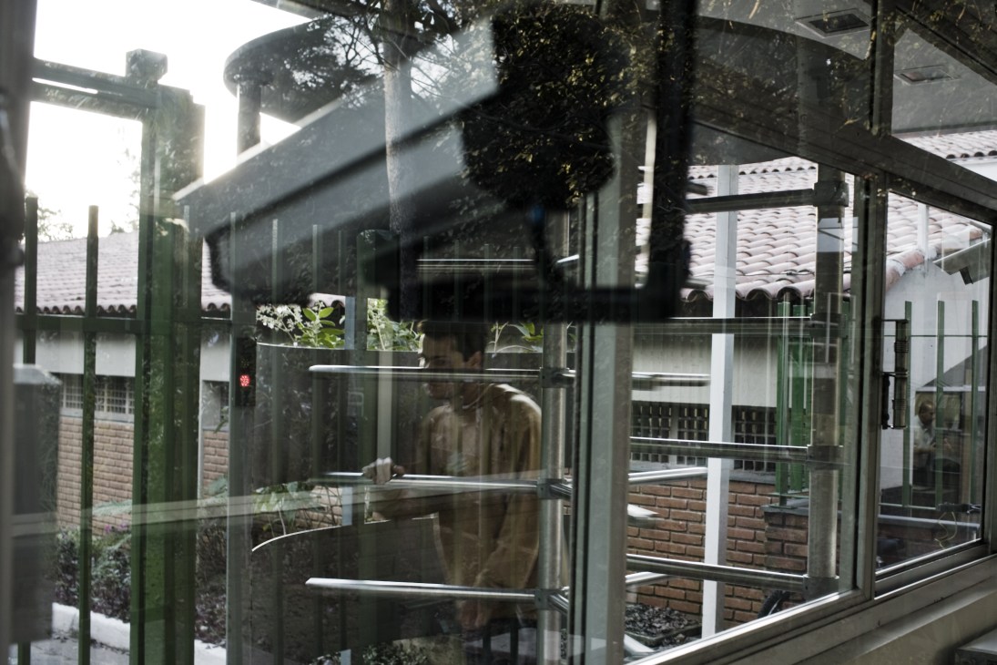 Glass and metal security gates with green-tinted frames and ivy, with residential buildings visible through the transparent panels.