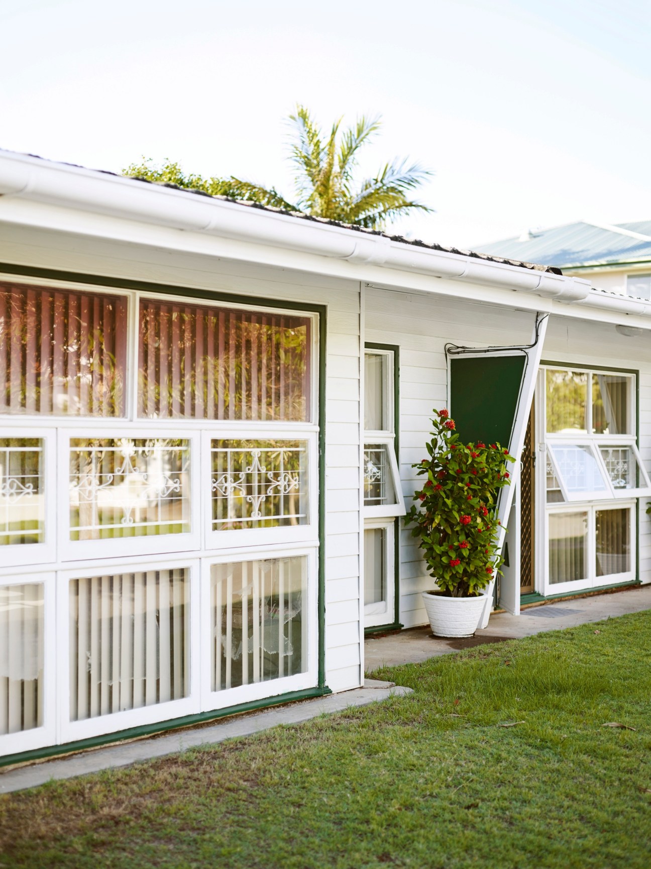 White 1960s fibro beach bungalow with green trim, large windows, and a potted flowering plant on the lawn.