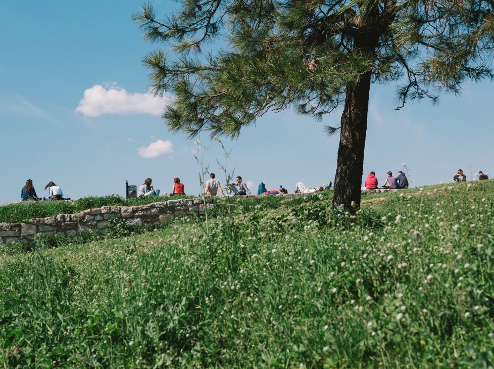 People relaxing on grass beneath a pine tree at Kalemegdan Fortress overlooking Belgrade