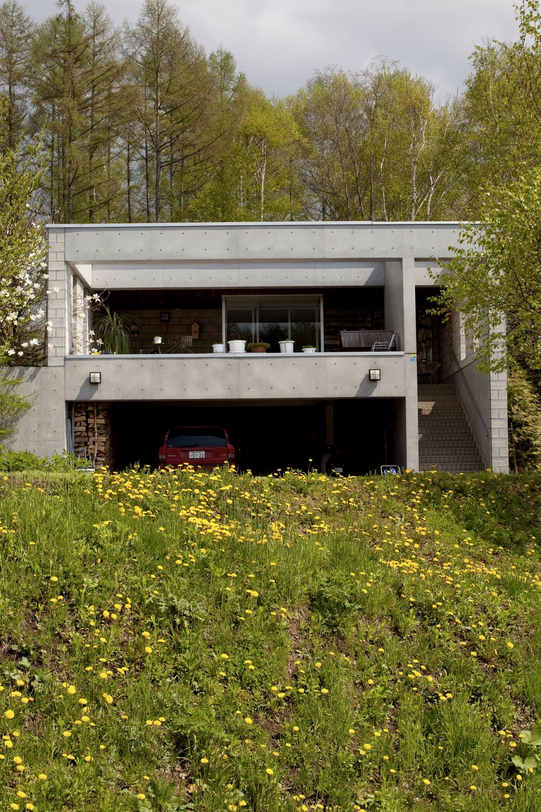 Modern concrete house with large windows surrounded by wildflowers and birch trees, with a red car in the garage.