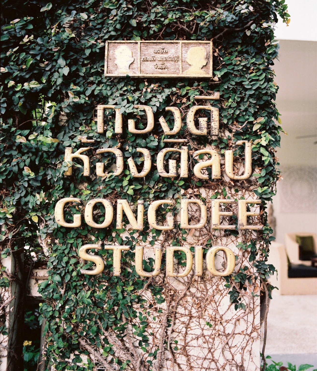Ivy-covered wall with golden metal signage reading "Gongdee Studio" and a plaque above