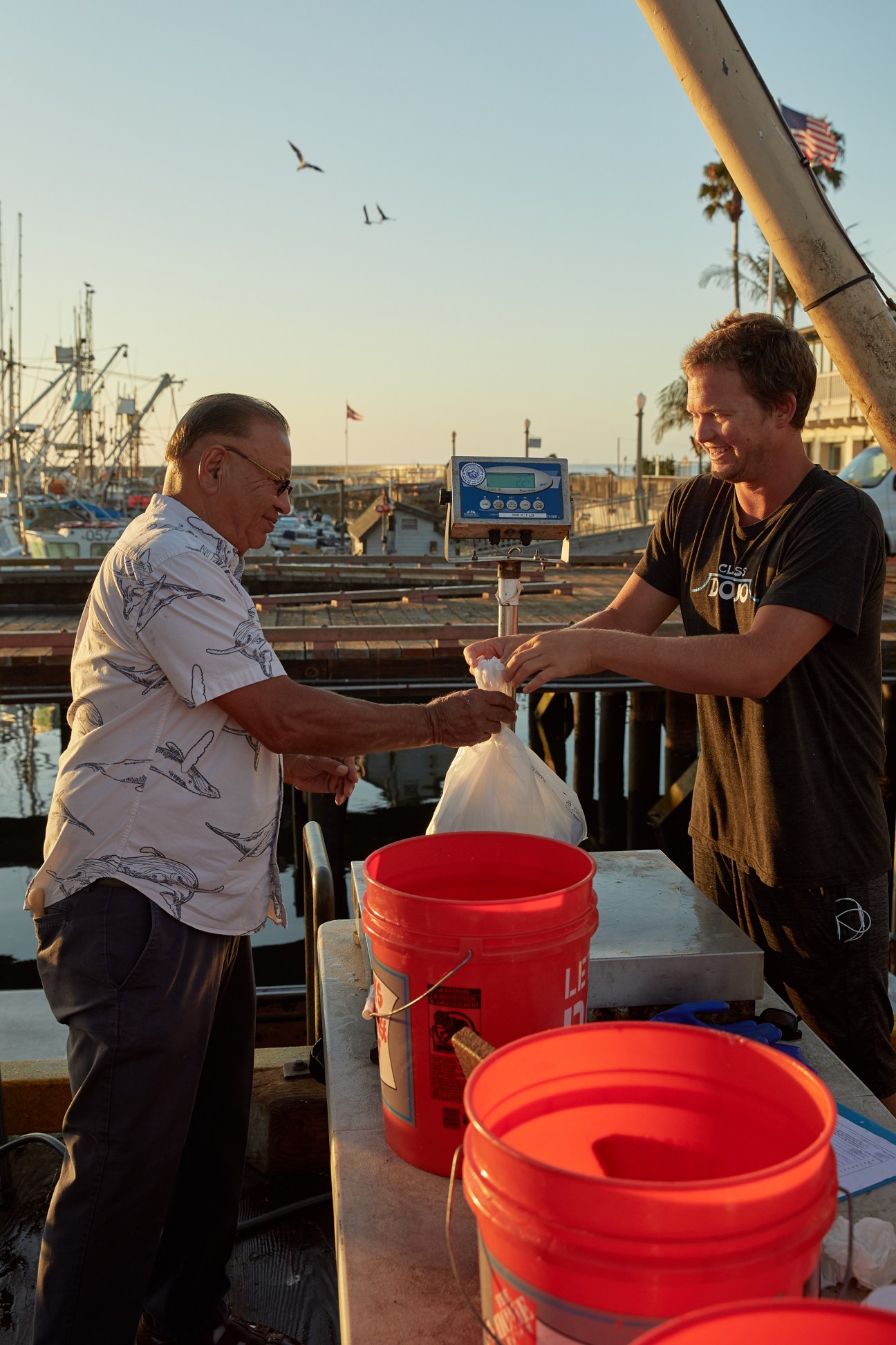 Two men at a sunny harbor dock: an older man in a patterned shirt hands a plastic bag of seafood to a smiling younger man in a black t-shirt, next to a scale and red bucket with boats in the background.