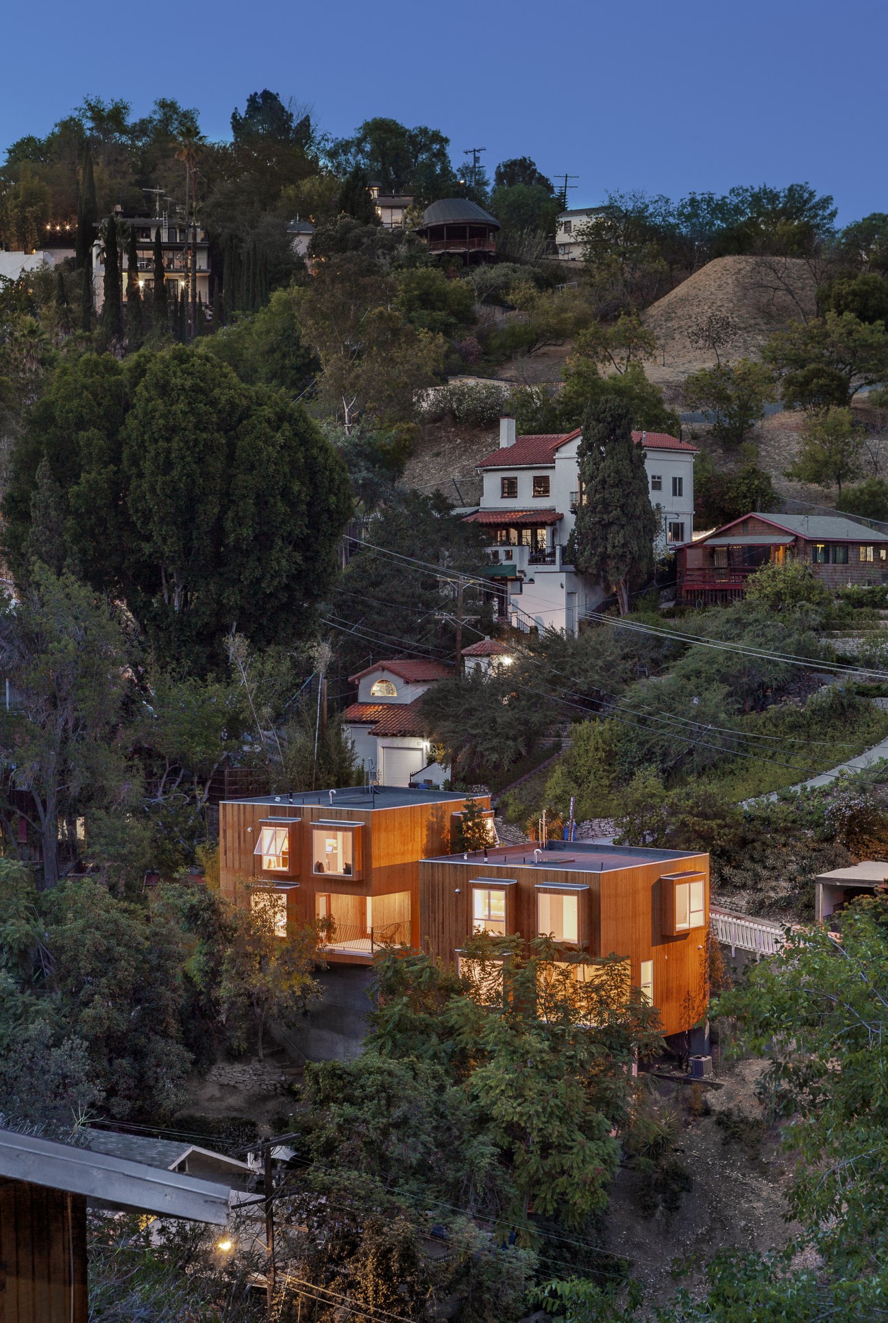 Two cedar-clad compact houses with bay windows on a steep hillside surrounded by trees in Los Angeles.