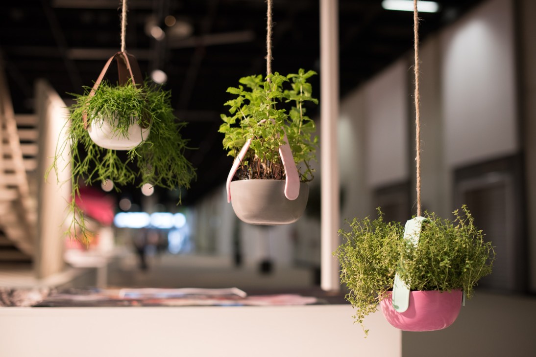 Hanging plant pots with leather straps containing trailing green plants at Spoga+Gafa garden fair.