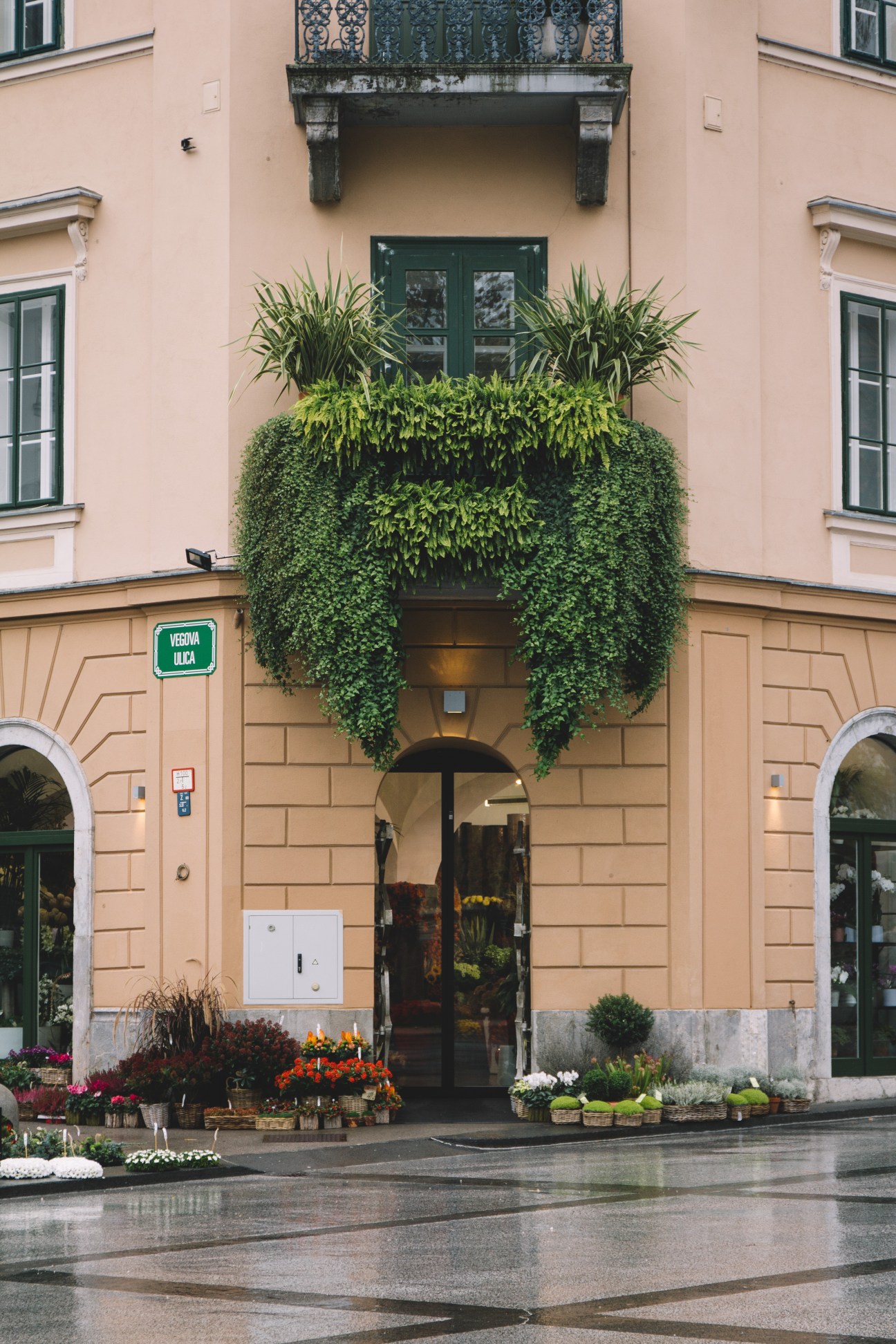 Florist storefront with lush cascading ivy and plants above entrance on peach-colored building.