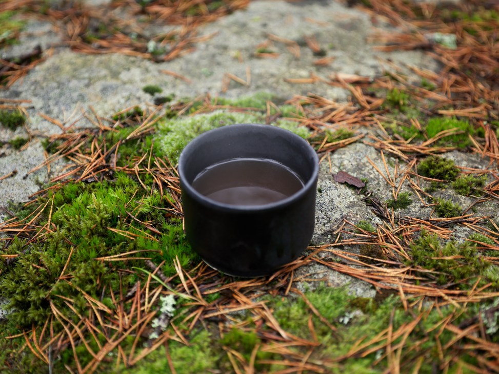 Black coffee in a dark cup placed on moss and pine needles in a forest setting.