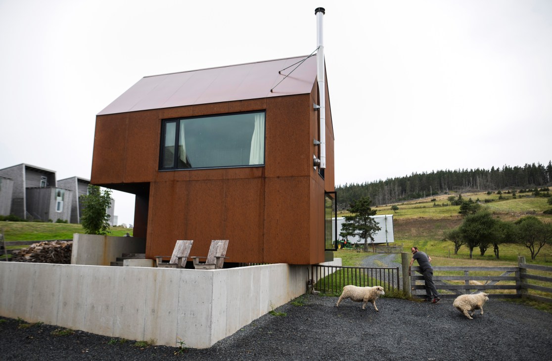 Two sheep grazing on grass near a modern brown house with concrete foundation