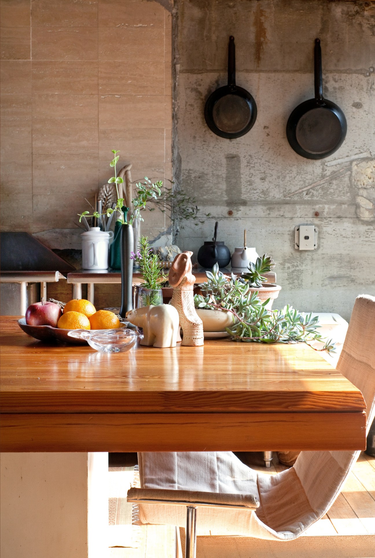 Kitchen counter with potted plants, fresh fruit, and cooking utensils beside hanging pans and textured concrete walls.