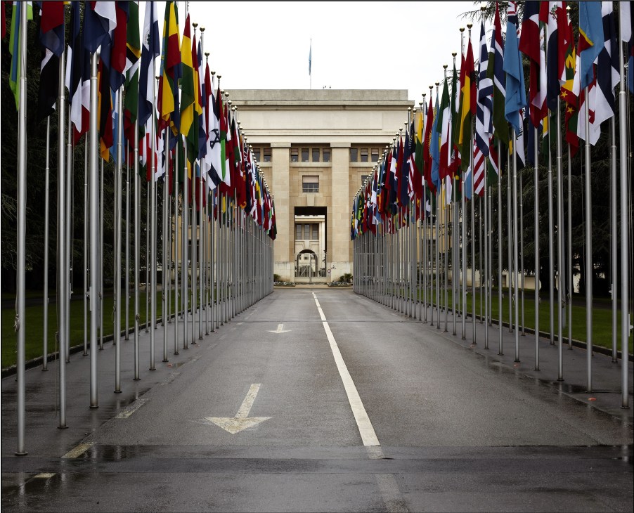 International flags lining a pathway leading to the United Nations building in Geneva.