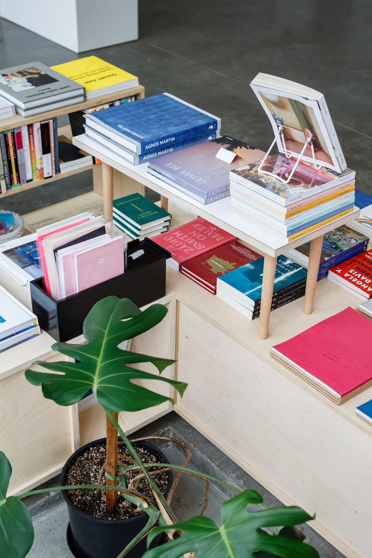 Wooden shelving display with stacked colorful books, magazines, and a potted green plant.