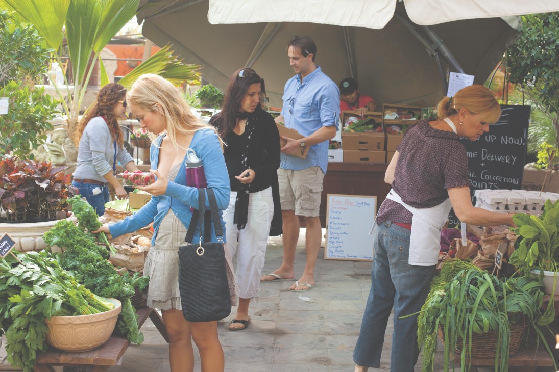 Shoppers browse fresh organic produce under a tent at a Ripe farmers' market in Dubai.