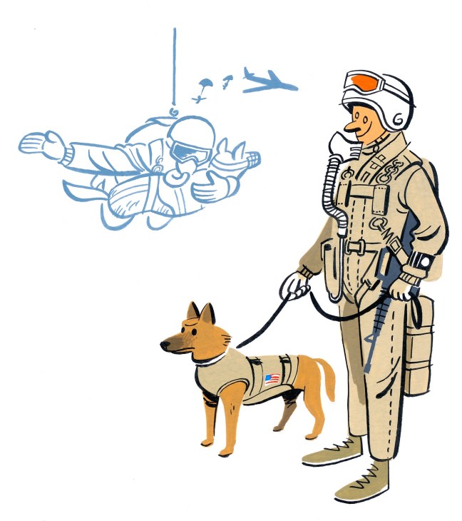 Illustration of a military handler with a dog in tactical gear and a soldier with aircraft above.