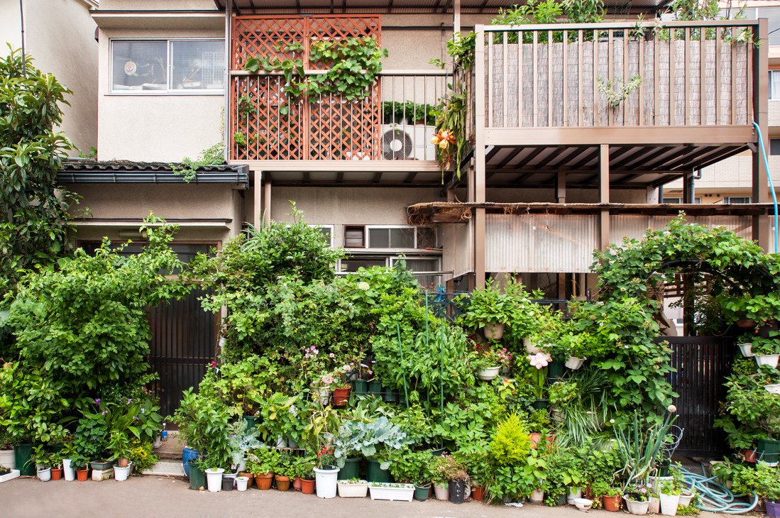 Tokyo residential building facade with dense potted plants and climbing vines covering ground level and balconies.