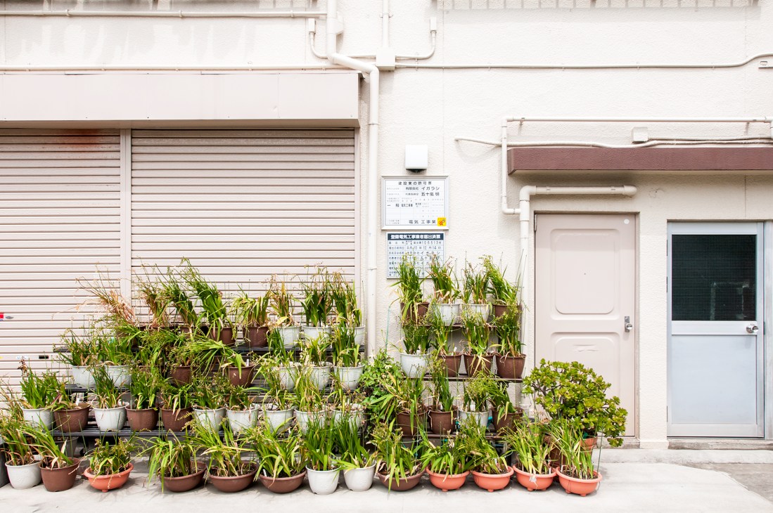Potted plants arranged in terraced rows against a Tokyo storefront with metal shutters and white facade.