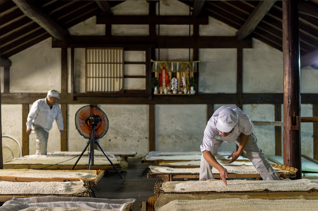 Workers in white uniforms tend to rice drying on racks inside a traditional Japanese wooden structure at Imayotsukasa sake brewery.