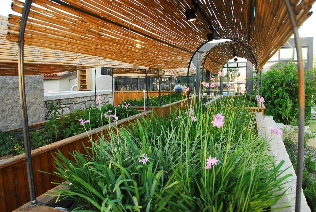 Rooftop terrace garden at Alancha restaurant with pink flowers, woven bamboo shade structures, and modern building behind.