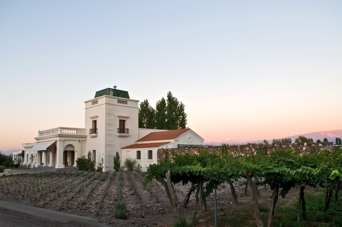 White adobe building with green roof among vineyard rows at sunset in Mendoza.
