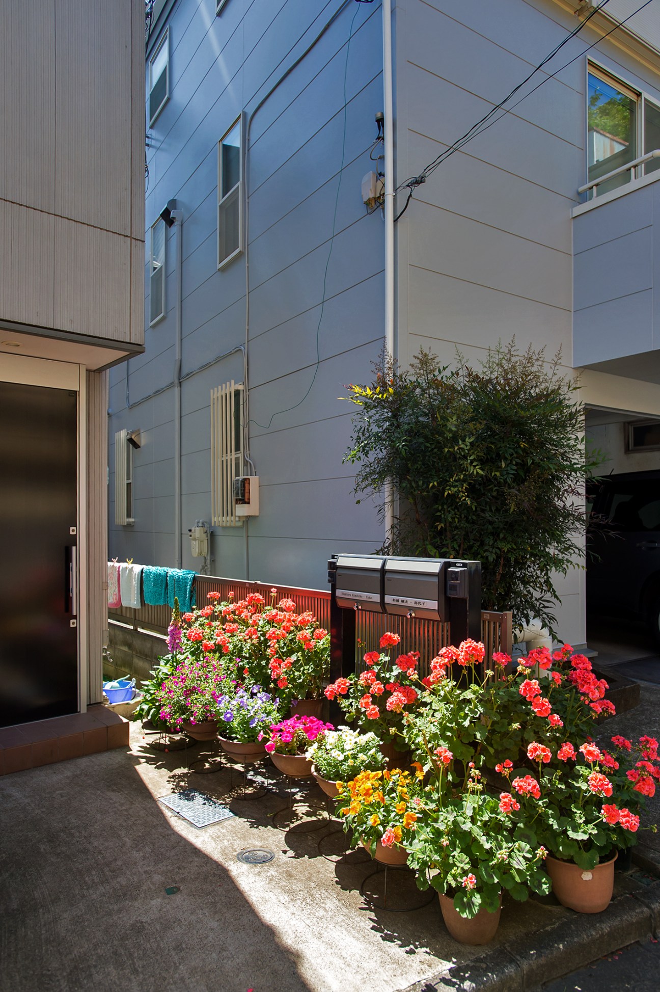 Potted geraniums and flowering plants arranged outside a residential building entrance in Tokyo.