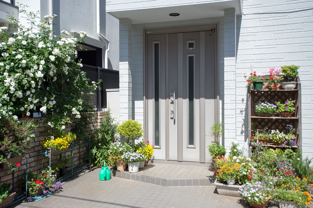 Modern residential entrance with potted flowers and plants arranged on pavement and wall-mounted shelving.