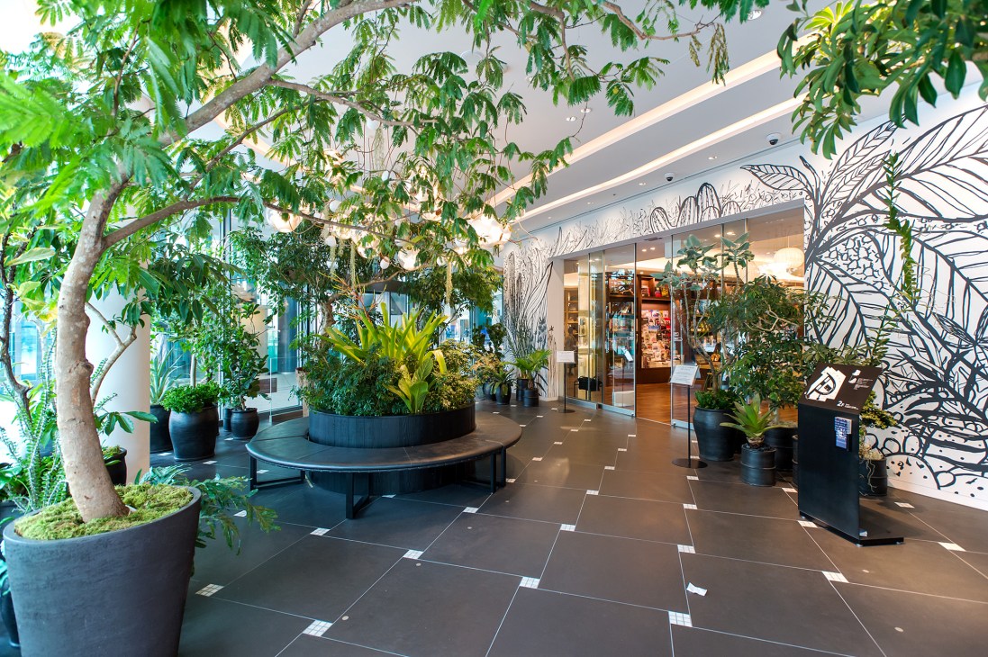 Tsutaya Electrics main entrance with plants, seating, and minimalist design