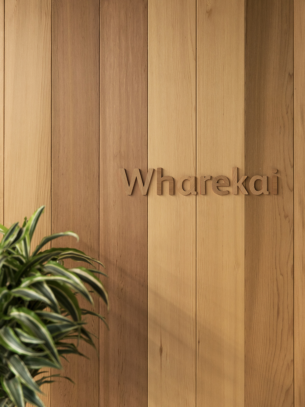 Wooden wall with 'Wharekai' carved text and a potted plant visible at left edge.