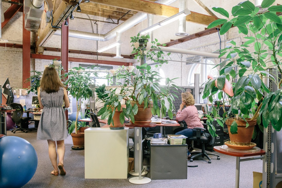 Open office workspace with large potted plants and natural light from skylights.
