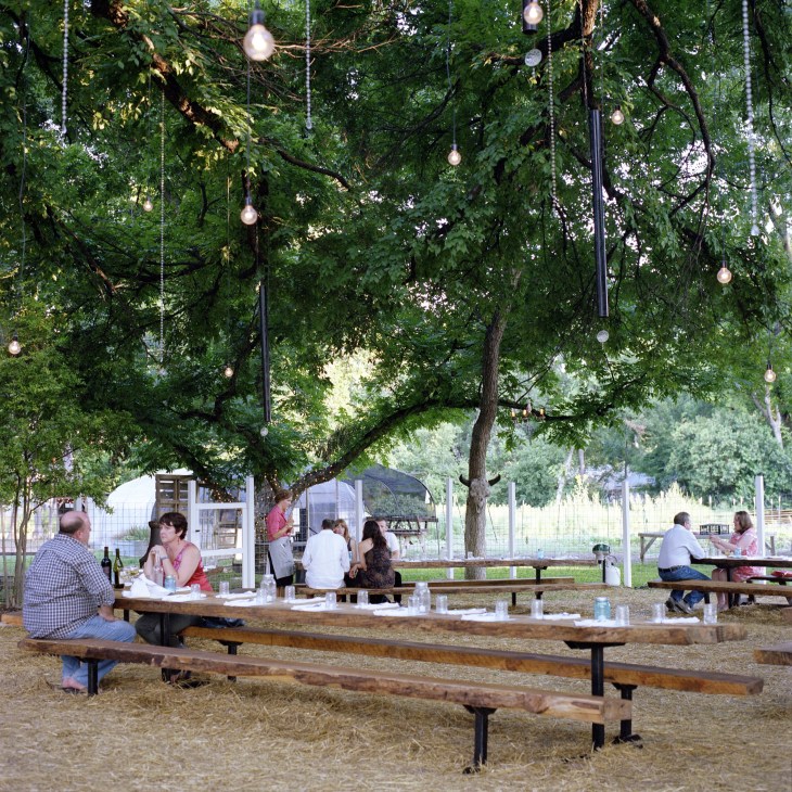 Guests dining at picnic tables beneath trees with hanging lights at Eden East open-air restaurant.