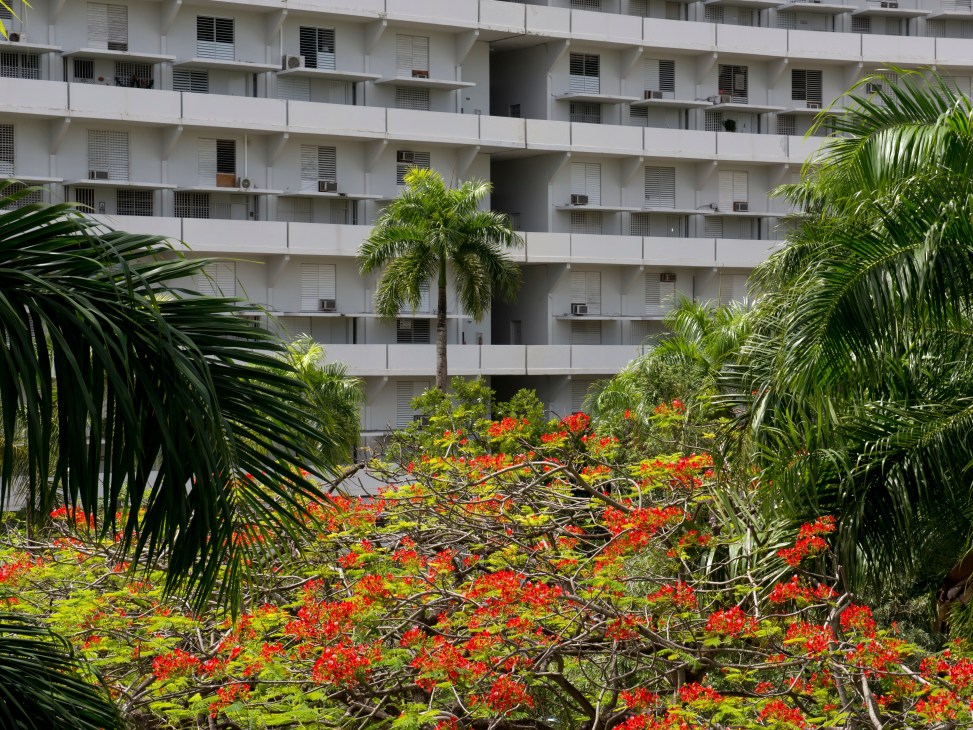 White modernist apartment tower with tropical gardens featuring red flowering plants and palm trees in foreground.