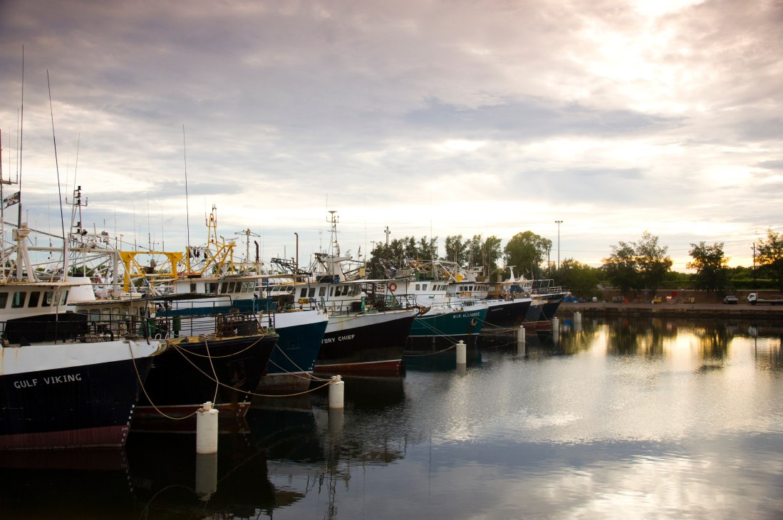 Fishing vessels moored at Darwin's prawn and pearling fleet in Frances Bay at dusk.