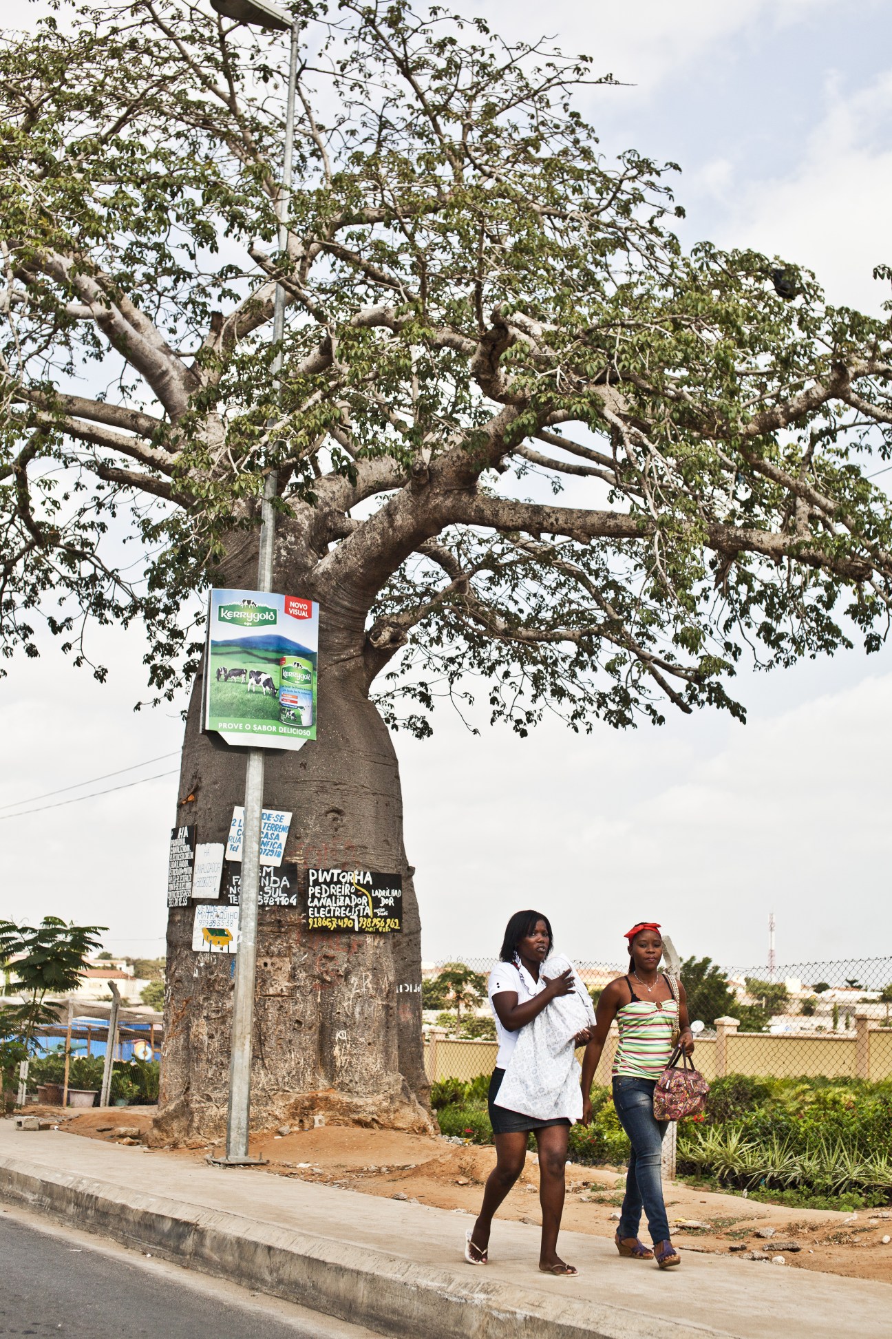 Two women walk past a large baobab tree with advertisements on its trunk in Luanda.